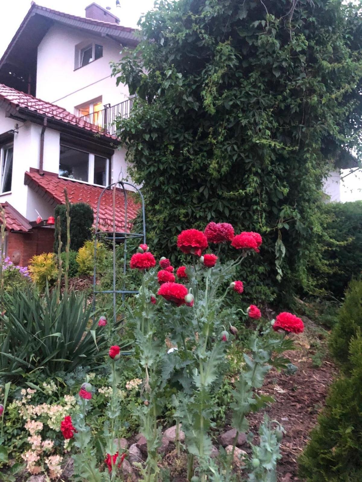 Villa Mielno-Eko Mielno  Zewnętrze zdjęcie
