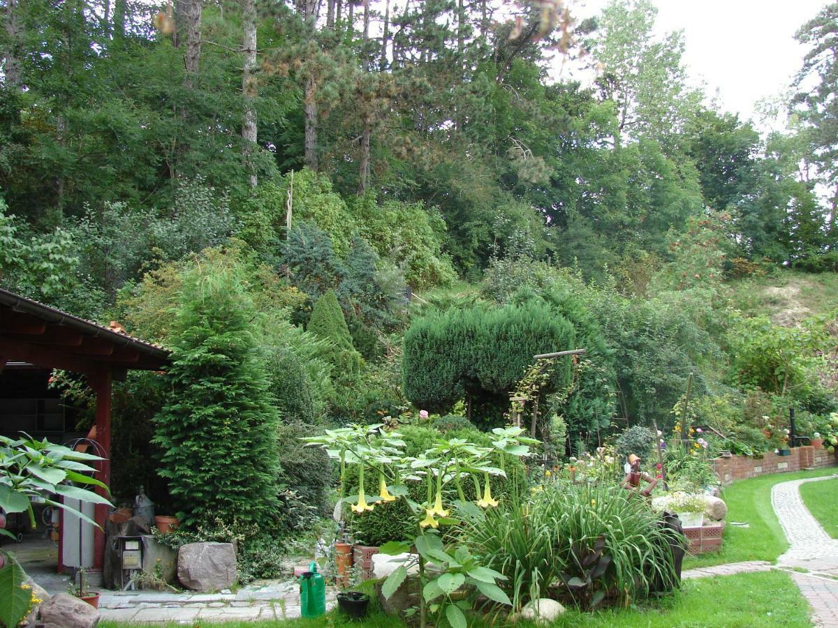 Villa Mielno-Eko Mielno  Zewnętrze zdjęcie